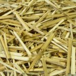 the_eco_building_material___miscanthus_rough_chopped